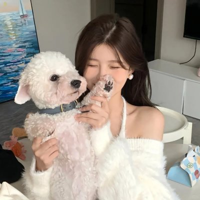 阿基米德的后宫茶